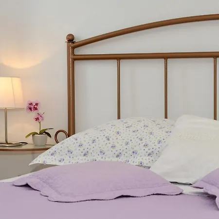 Basic 1 斯普利特