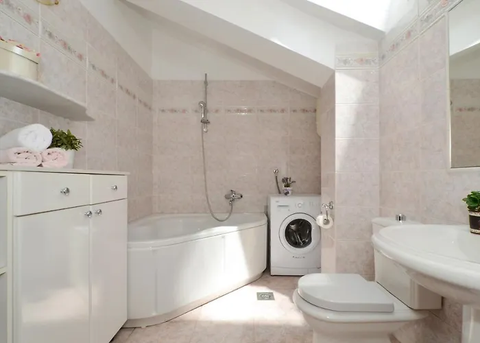 Basic 1 * 斯普利特